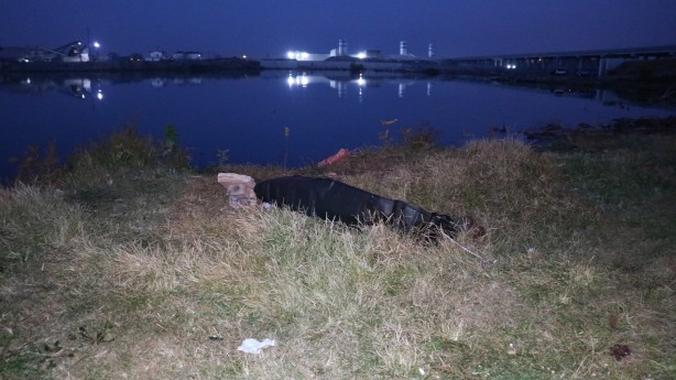 Foto - Meriç Nehri'nde korkunç olay! Ekipler seferber oldu