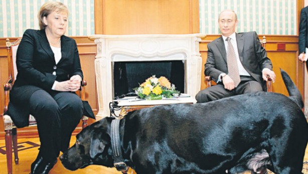 Foto - Merkel'in açıklaması dünya gündemini sarstı: Rusya bize saldırı düzenledi