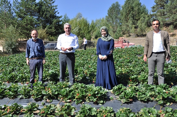 Foto - Merkezi haline geldi! 3 milyon lira kazanç hedefleniyor
