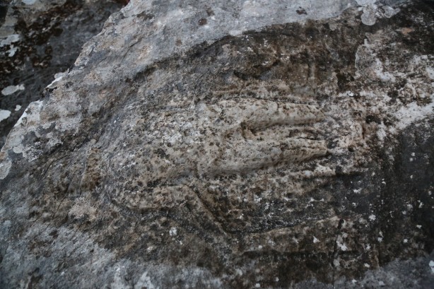 Foto - Mermer ocağında bulundu! Heyecanlandıran keşif