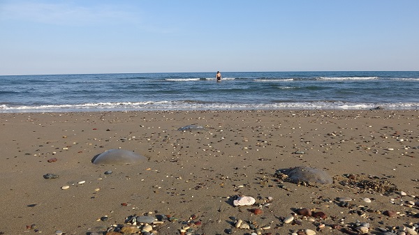 Foto - Mersin sahilleri istila edildi! 