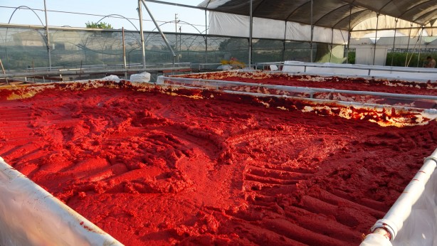 Foto - Mersin'de biber salçası üretimi başladı