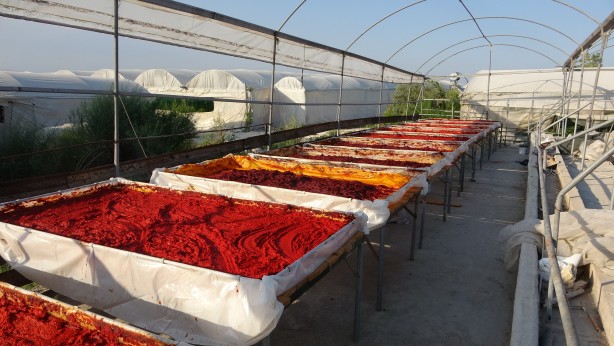 Foto - Mersin'de biber salçası üretimi başladı