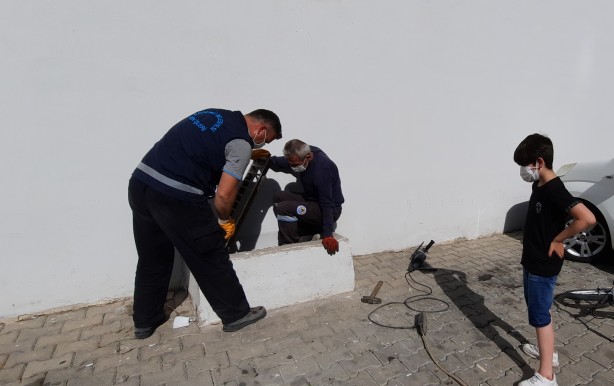 Foto - Mersin'de mazgaldaki 3 kedi yavrusu kurtarıldı