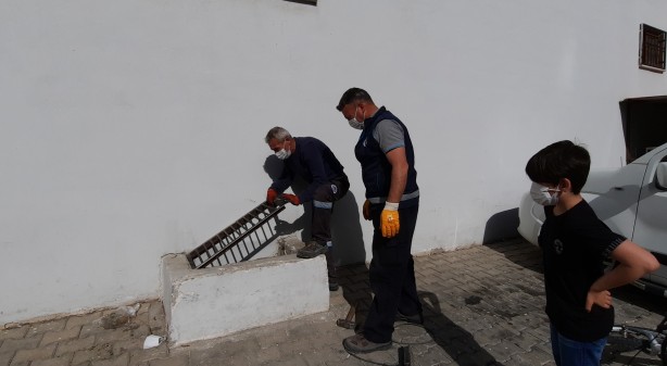 Foto - Mersin'de mazgaldaki 3 kedi yavrusu kurtarıldı