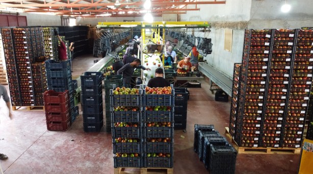 Foto - Mersin'de üretiliyor! Romanya, İspanya, Fransa ve İngiltere'den talep yağıyor