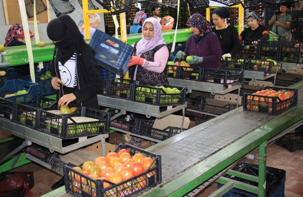 Foto - Mersin'de üretiliyor! Romanya, İspanya, Fransa ve İngiltere'den talep yağıyor