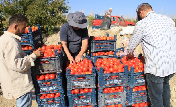 Foto - Mersin'de üretiliyor! Romanya, İspanya, Fransa ve İngiltere'den talep yağıyor