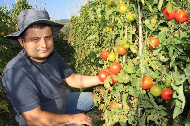 Foto - Mersin'de üretiliyor! Romanya, İspanya, Fransa ve İngiltere'den talep yağıyor
