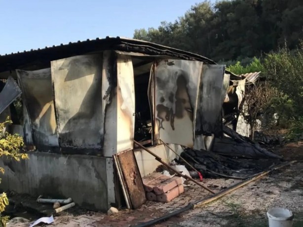 Foto - Mersin'de yangın faciası! Çok sayıda hayvan telef oldu