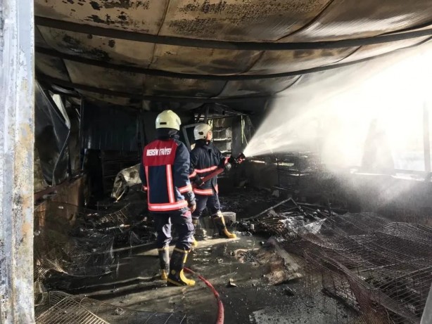 Foto - Mersin'de yangın faciası! Çok sayıda hayvan telef oldu
