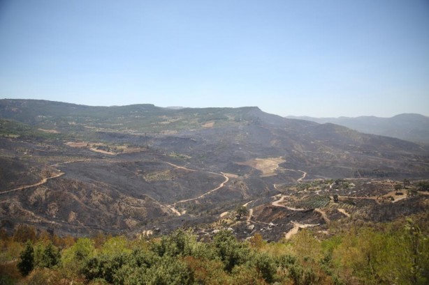 Foto - Mersin'deki orman yangınından güzel haber