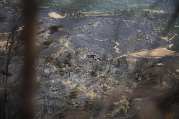 Mersin'deki orman yangınından güzel haber