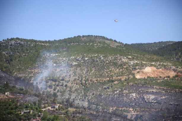 Foto - Mersin'deki orman yangınından güzel haber