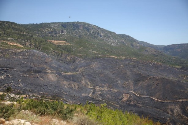 Foto - Mersin'deki orman yangınından güzel haber