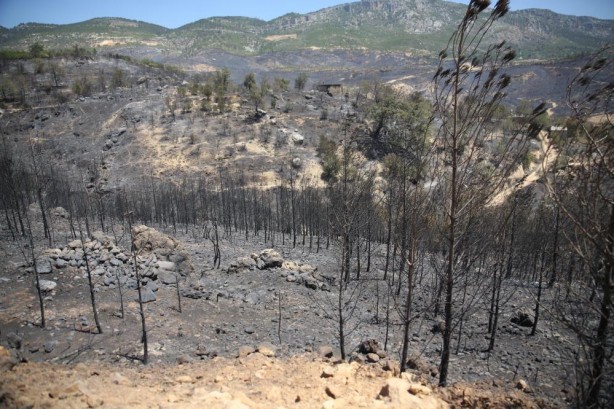 Foto - Mersin'deki orman yangınından güzel haber