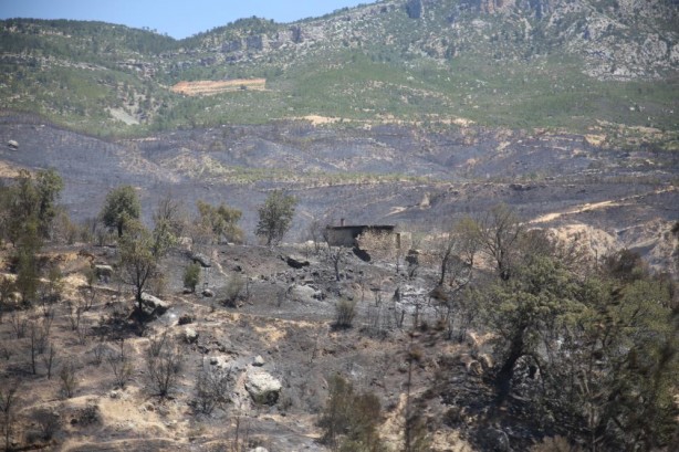 Foto - Mersin'deki orman yangınından güzel haber