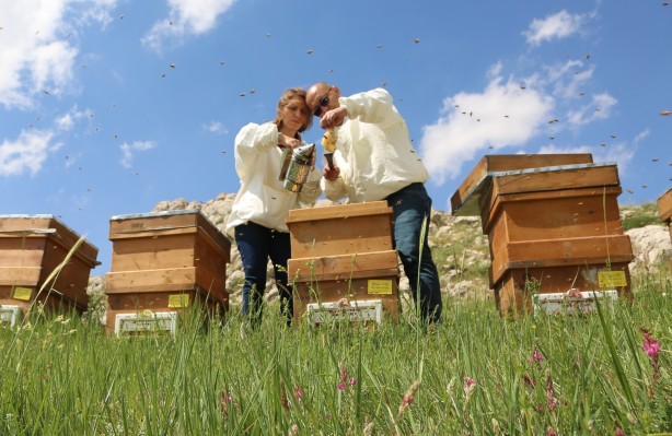 Foto - Mersin'den çıkıyor! Anti mikrobiyal olduğu tescillendi... Yurtdışında 500 dolara satıyorlar