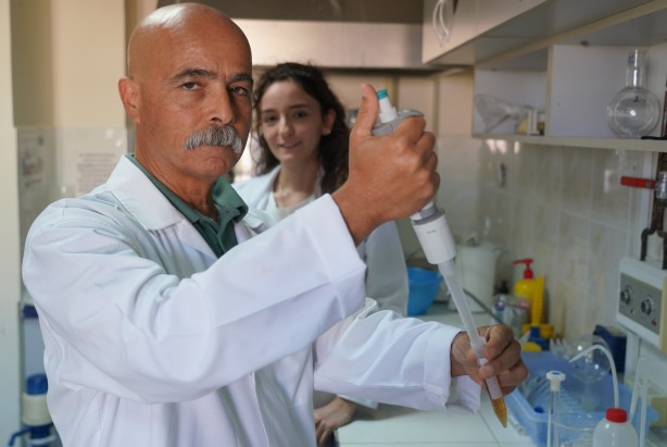 Foto - Mersin'den çıkıyor! Anti mikrobiyal olduğu tescillendi... Yurtdışında 500 dolara satıyorlar