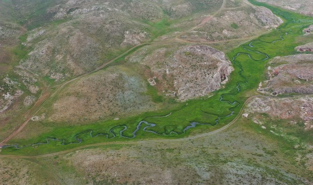 Foto - Mersin'den çıkıyor! Anti mikrobiyal olduğu tescillendi... Yurtdışında 500 dolara satıyorlar