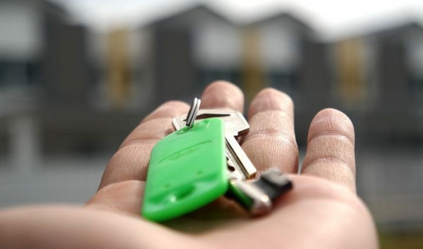 Foto - Mert Başaran Türkiye'ye ilan etti: Sokaklarda evler bedava verilecek