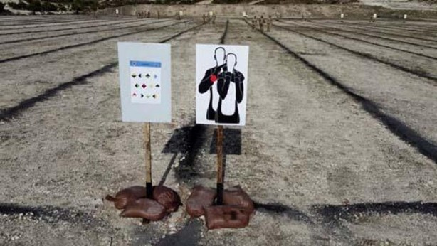 Foto - Mesafe tanımadılar: Anahtar deliğinden tam isabet!