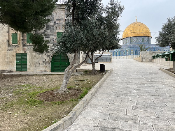 Foto - Mescid-i Aksa'da İsrail kısıtlaması devam ediyor