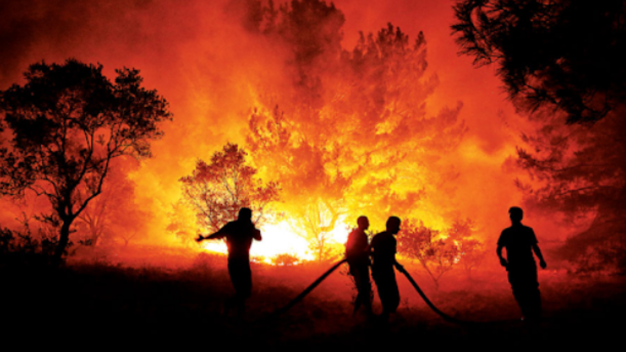 Foto - Mesele ormanda yanan ağaçlar değil! Siz hala anlamadınız mı?