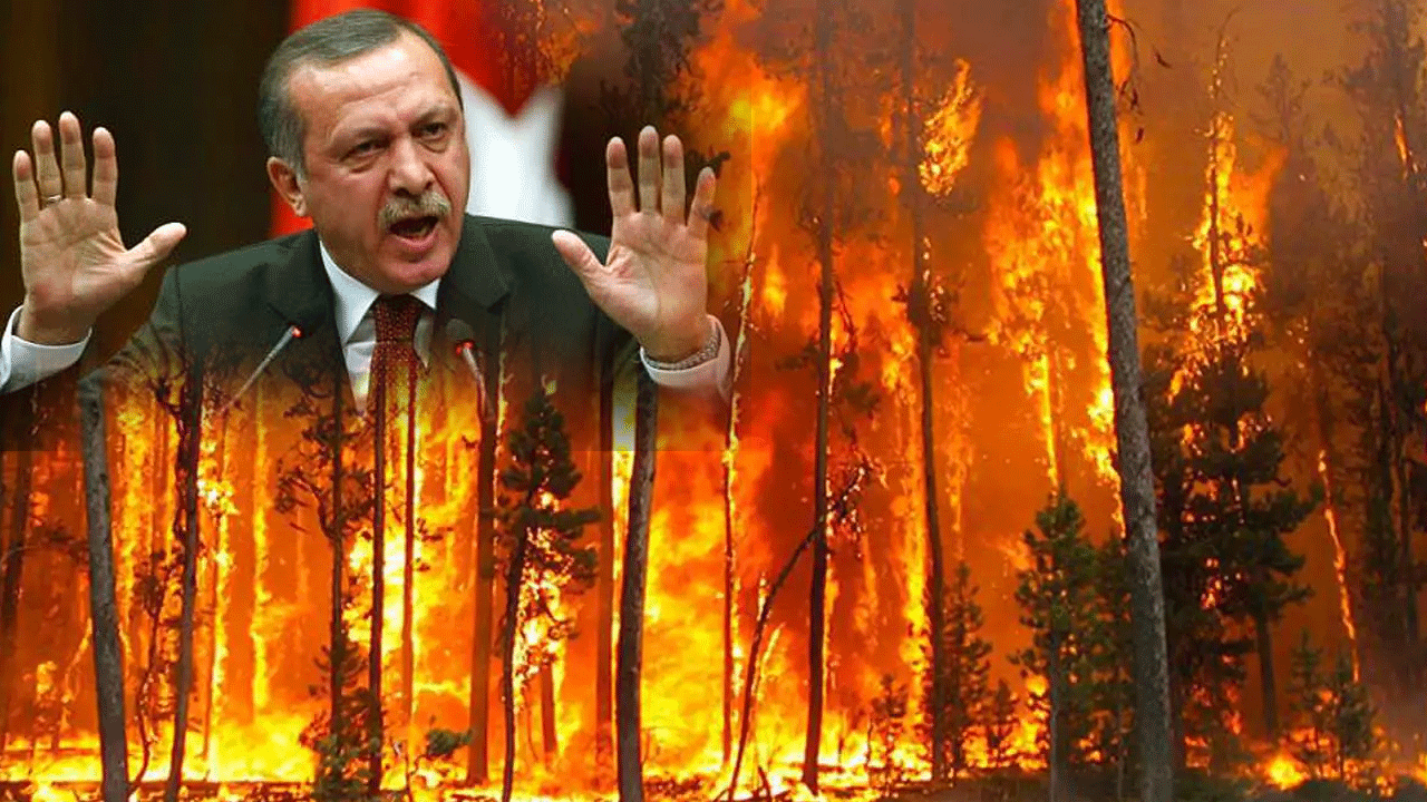 Foto - Mesele ormanda yanan ağaçlar değil! Siz hala anlamadınız mı?