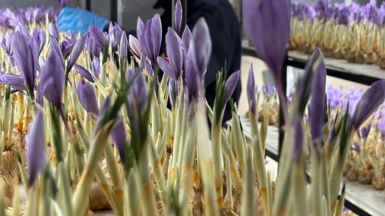 Mesleğini bırakıp üretime başladı