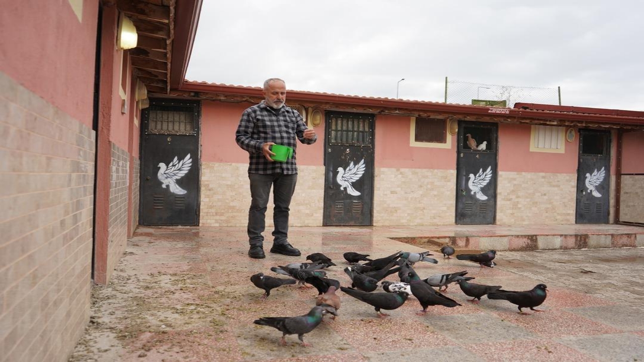 Foto - Mesleğini bıraktı, bunun için devasa tesis açtı! Her biri 8 bin TL! Özellikle polisler kapışıyor
