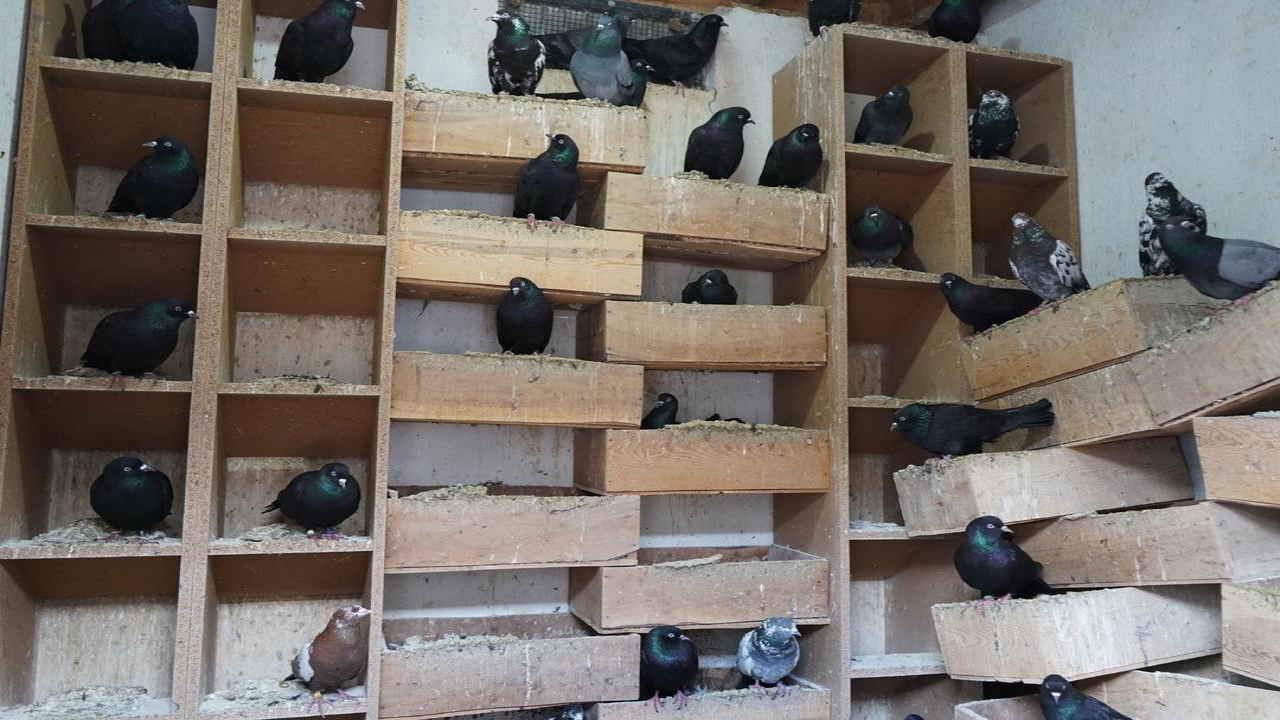 Foto - Mesleğini bıraktı, bunun için devasa tesis açtı! Her biri 8 bin TL! Özellikle polisler kapışıyor
