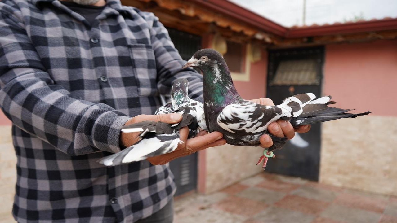 Foto - Mesleğini bıraktı, bunun için devasa tesis açtı! Her biri 8 bin TL! Özellikle polisler kapışıyor