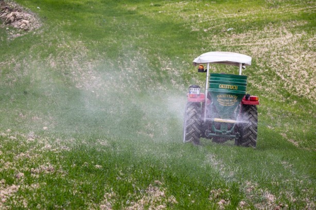 Foto - Meslek liseliler tarımı sebze yetiştirerek öğreniyor