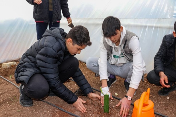Foto - Meslek liseliler tarımı sebze yetiştirerek öğreniyor
