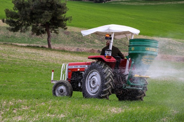 Foto - Meslek liseliler tarımı sebze yetiştirerek öğreniyor