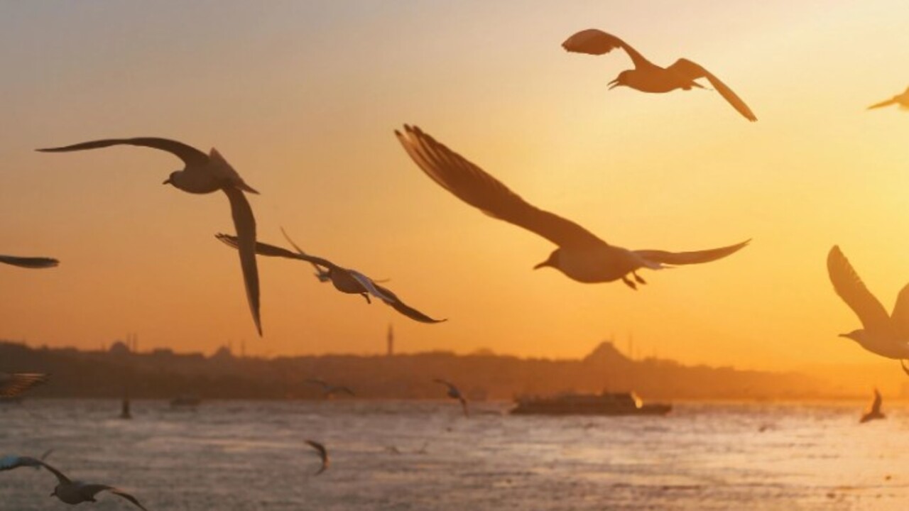 Foto - Meteoroloji açıkladı! İşte İstanbul'da 5 günlük hava durumu