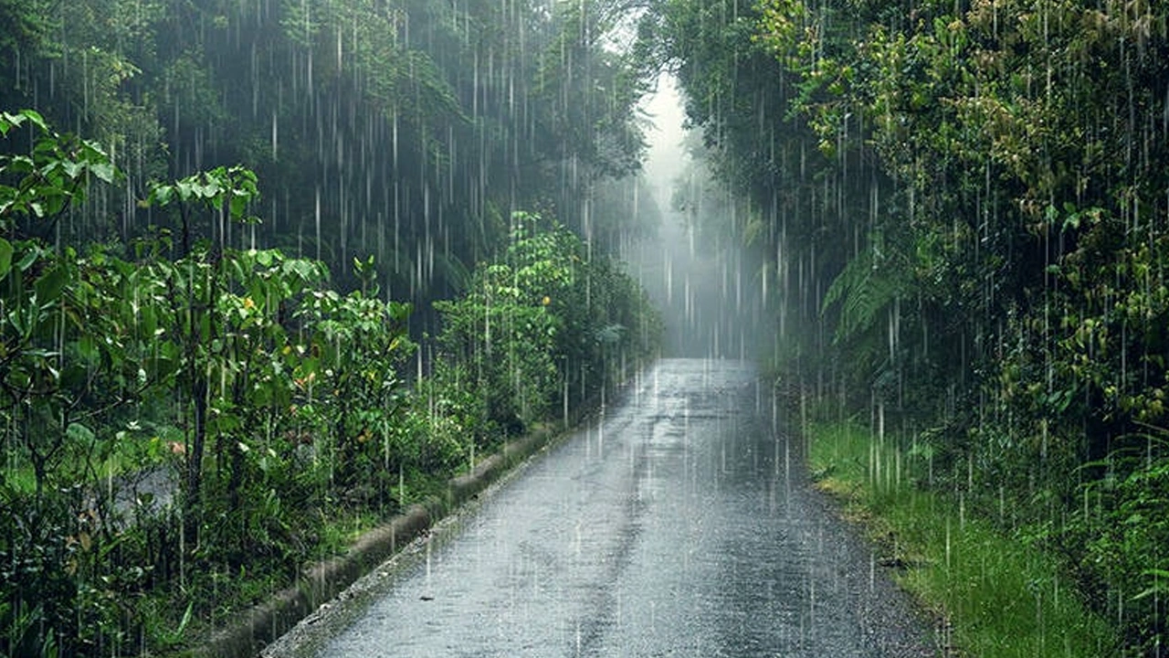 Foto - Meteoroloji: 16 ile sağanak geliyor diyerek duyrdu!