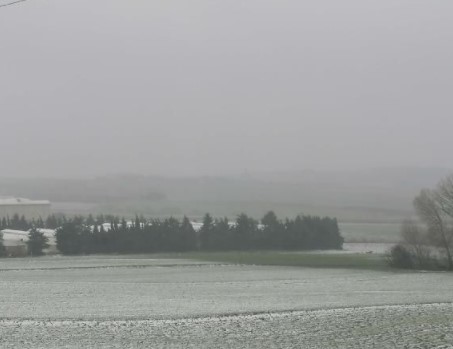 Foto - Meteoroloji uyarmıştı! İstanbul bembeyaz oldu