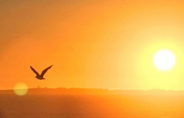 Foto - Meteoroloji yeni raporu paylaştı! Sıcaklık tekrar artacak