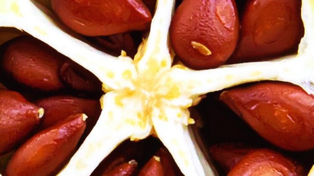 Metobolizmayı hızlandırıyor, zayıflatıyor! İştahı bıçak gibi kesiyor...