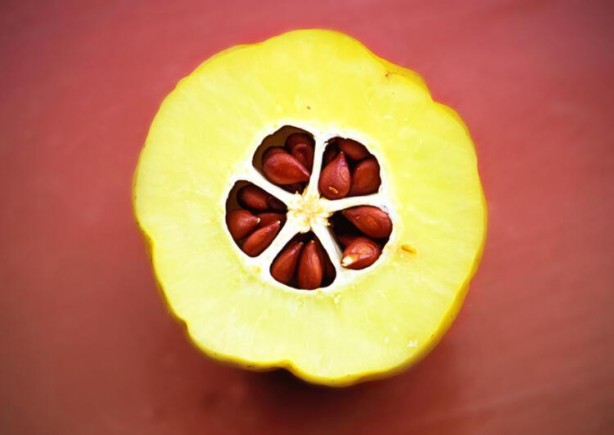 Foto - Metobolizmayı hızlandırıyor, zayıflatıyor! İştahı bıçak gibi kesiyor...