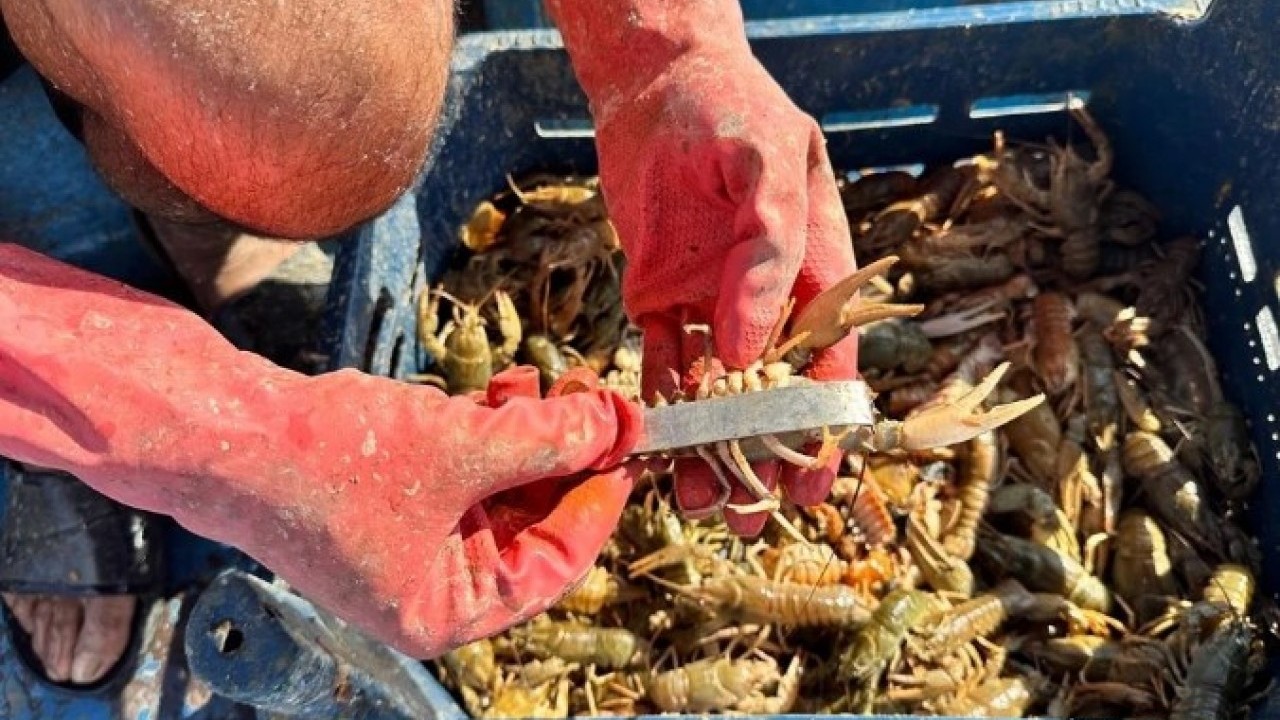 Foto - Metropol kentin stresinden kaçtı! Köyünde kendi işini kurdu