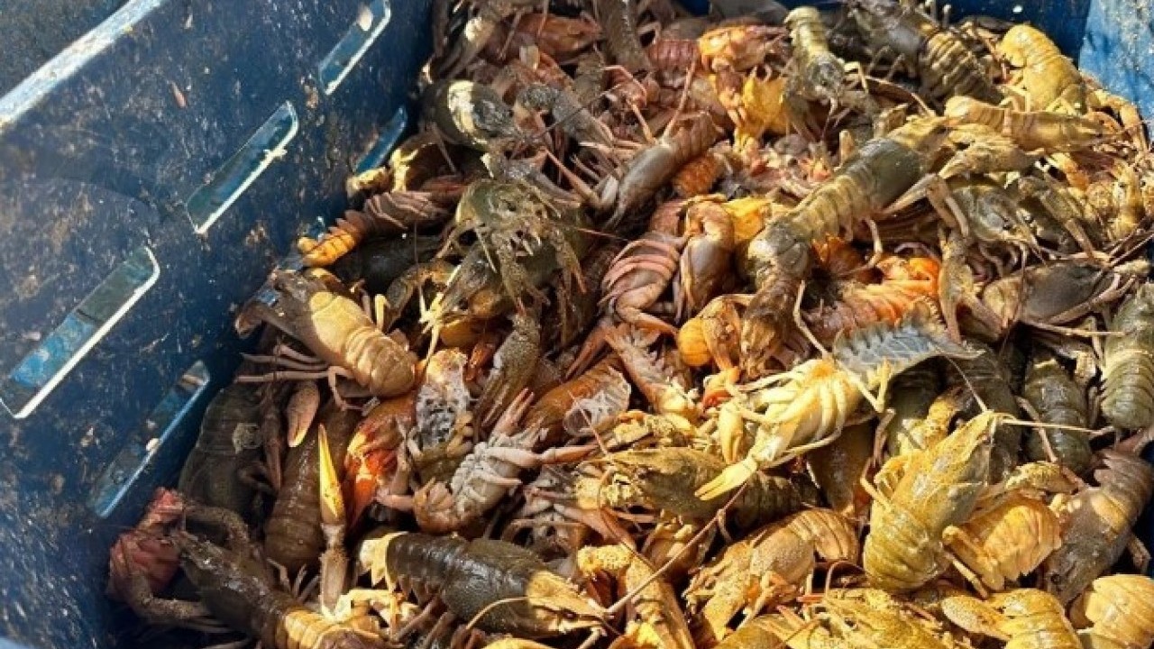 Foto - Metropol kentin stresinden kaçtı! Köyünde kendi işini kurdu