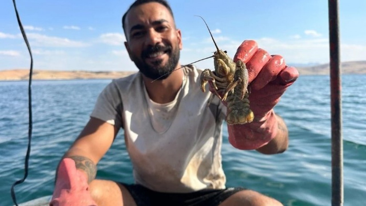 Metropol kentin stresinden kaçtı! Köyünde kendi işini kurdu