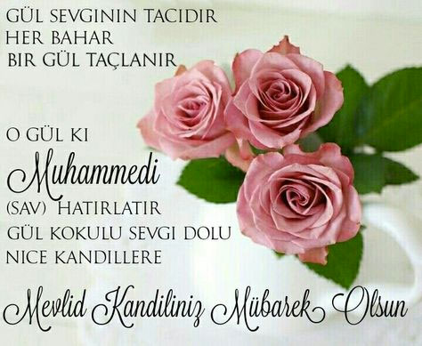 Foto - Mevlid Kandili mesajları en kısa en güzel en anlamlı Mevlid Kandili mesajları