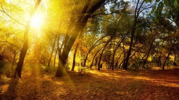  Mevsim geçişlerinde sağlıklı kalmanın 3 yolu!