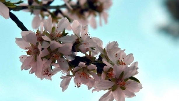 Foto - Mevsim geçişlerinde sağlıklı kalmanın 3 yolu!