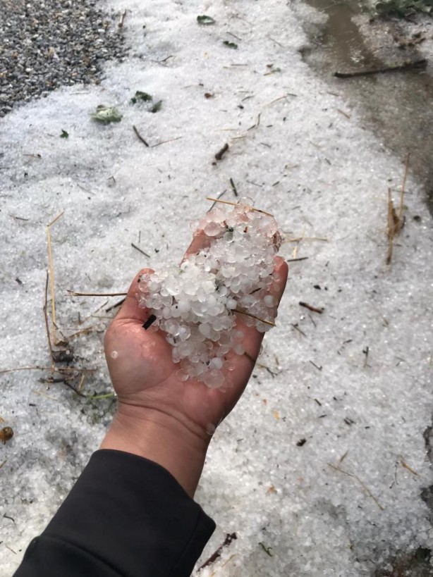 Foto - Mevsimlik işçilerin çadırları sular altında kaldı! Dolu ve sağanak büyük zarara neden oldu