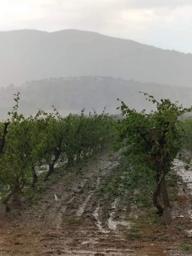 Foto - Mevsimlik işçilerin çadırları sular altında kaldı! Dolu ve sağanak büyük zarara neden oldu